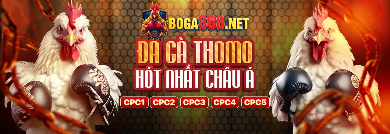 Nghiên cứu chiến kê và phân tích trận đấu
